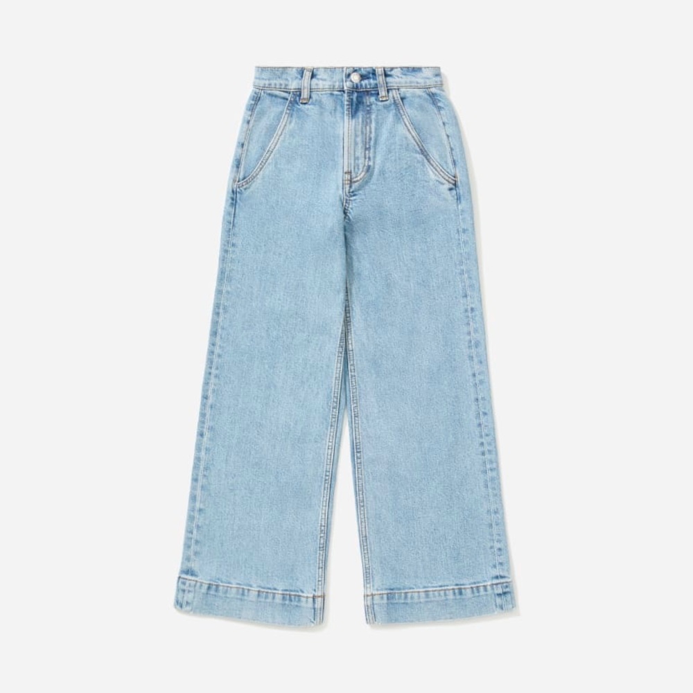 Everlane the wide leg jean medium wash high rise jeans
